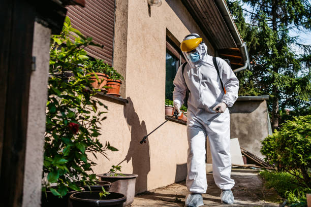 Best Residential Pest Control  in Mapleton, MN