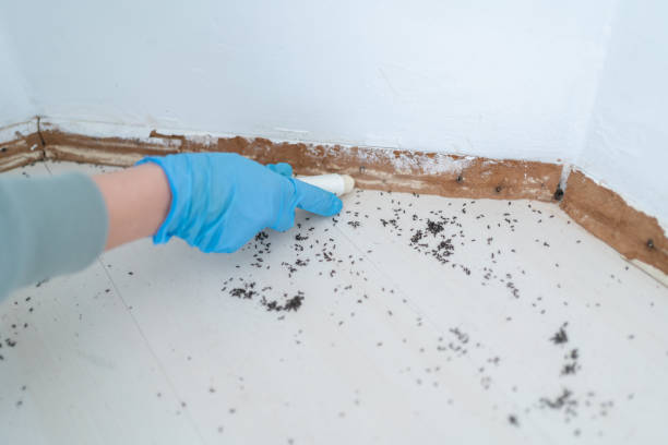 Best Commercial Pest Control Services  in Mapleton, MN