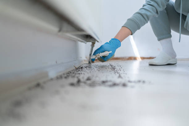 Best Pest Control for Restaurants  in Mapleton, MN